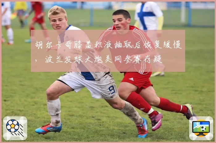 胡尔卡奇膝盖积液抽取后恢复缓慢,波兰发球大炮美网参赛存疑