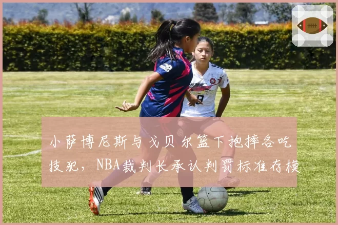 小萨博尼斯与戈贝尔篮下抱摔各吃技犯,NBA裁判长承认判罚标准存模糊地带